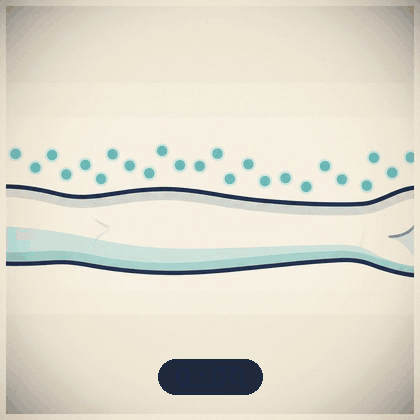The Evaporation Gap visualized: a medical-explainer animation showing regular spray molecules evaporating in 20 minutes as a mosquito bites, versus BuzzerBeater SteadyShield capsules releasing fresh protection over 8 hours under a shield dome as a mosquito bounces off